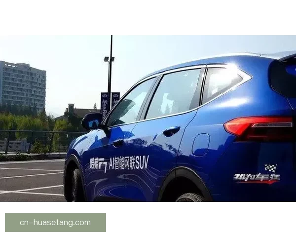 国产视频：不止于“看”，更在于“感”与“创”